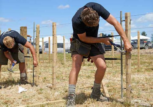 Speed fencing competition at Field days, competitors using batten holders